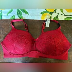 Torrid dream wire free push-up 40d wireless bra NWT red lace